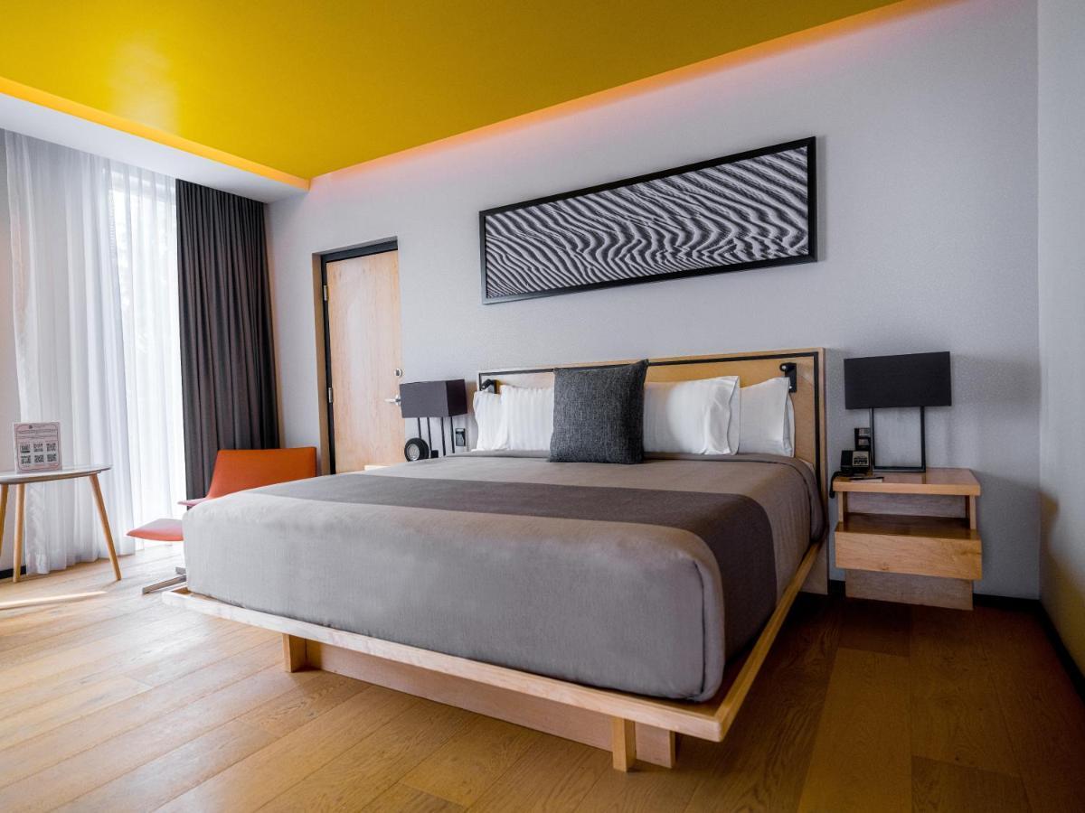 Galeria Plaza San Jeronimo Hotel เม็กซิโกซิตี้ ภายนอก รูปภาพ A room at the hotel