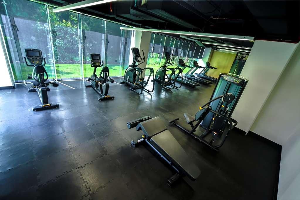 Galeria Plaza San Jeronimo Hotel เม็กซิโกซิตี้ สิ่งอำนวยความสะดวก รูปภาพ The gym at the hotel