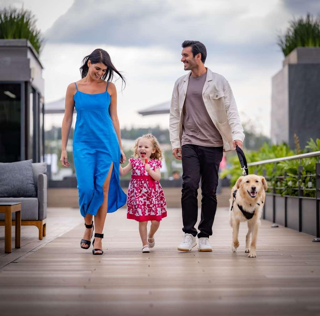 Galeria Plaza San Jeronimo Hotel เม็กซิโกซิตี้ สิ่งอำนวยความสะดวก รูปภาพ A family with a dog