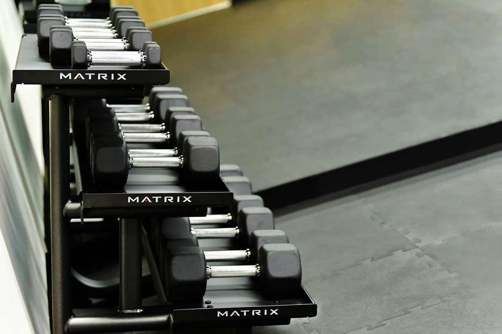 Galeria Plaza San Jeronimo Hotel เม็กซิโกซิตี้ สิ่งอำนวยความสะดวก รูปภาพ Dumbbells