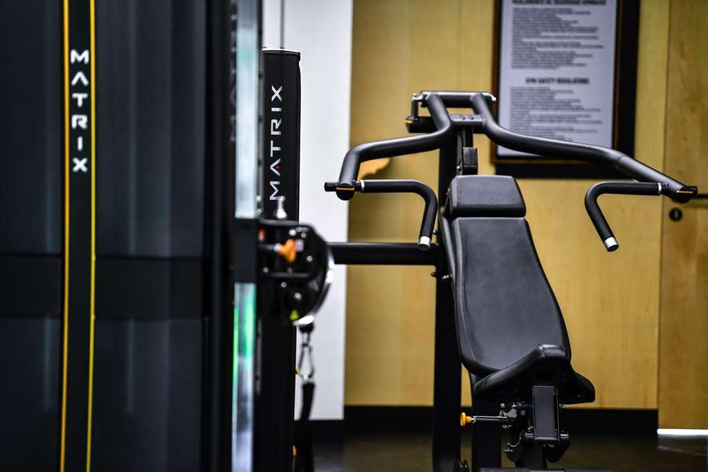 Galeria Plaza San Jeronimo Hotel เม็กซิโกซิตี้ สิ่งอำนวยความสะดวก รูปภาพ A shoulder press machine