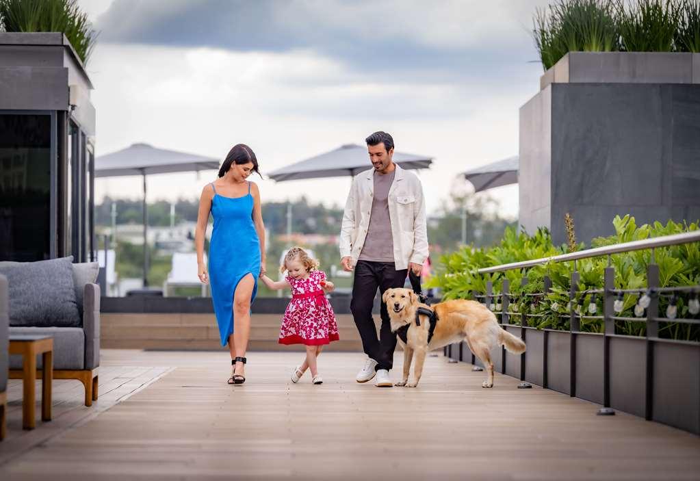 Galeria Plaza San Jeronimo Hotel เม็กซิโกซิตี้ สิ่งอำนวยความสะดวก รูปภาพ Residents on the Sky Deck