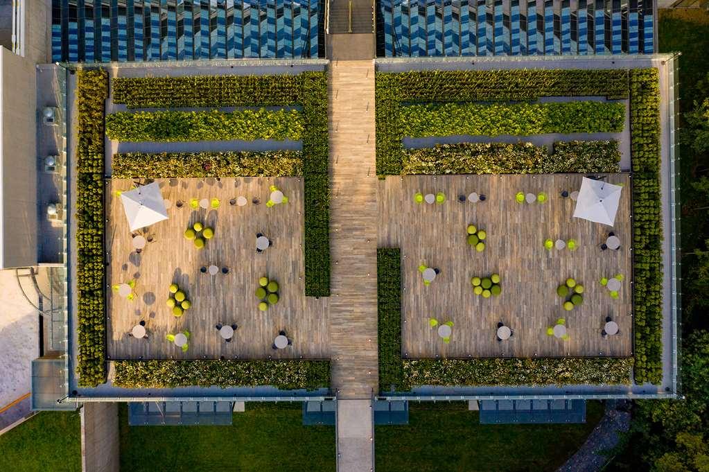 Galeria Plaza San Jeronimo Hotel เม็กซิโกซิตี้ ภายนอก รูปภาพ The green wall at the Allianz Arena