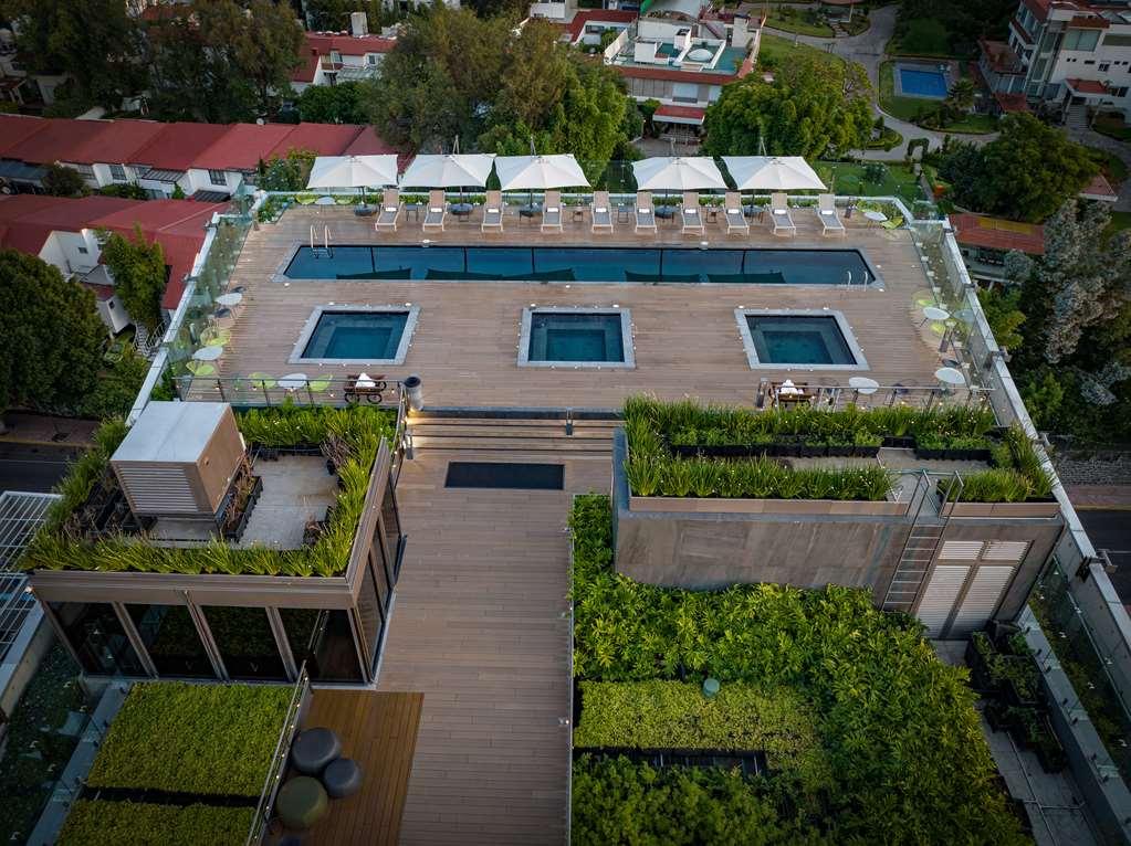 Galeria Plaza San Jeronimo Hotel เม็กซิโกซิตี้ สิ่งอำนวยความสะดวก รูปภาพ The rooftop pool at the hotel